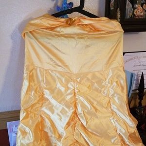 Adult Belle from beauty and the beast